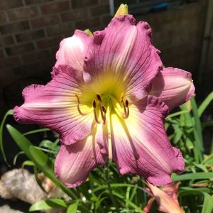 Meet your Posher, Judy
